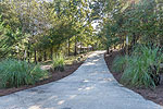 Beautifully landscaped double lot at 104 Morgan Lane in Longleaf, Dadeville, AL-Lake Martin AL Waterfront homes for sale. Professional photos and tour by Go2REasssistant.com