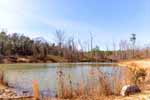 Duck pond 1112 Lee Rd, Alabama hunting estate acreage for sale. Photos by Go2REassistant.com