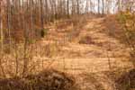 266 acres with 9-ft deer fence at 1112 Lee Rd, Alabama hunting estate acreage for sale. Photos by Go2REassistant.com