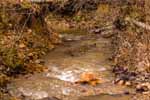 Multiple streams run through the property at 1112 Lee Rd, Alabama hunting estate acreage for sale. Photos by Go2REassistant.com