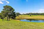 The 60-acre view of 2260 Neman Road, Tallassee, AL. Professional photos and tour by Go2REasssistant.com