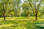 6.7+ acres and a Pecan grove at 250 Bell Road, Montgomery, AL. I Shoot Houses...Professional photos and tour by Go2REasssistant.com