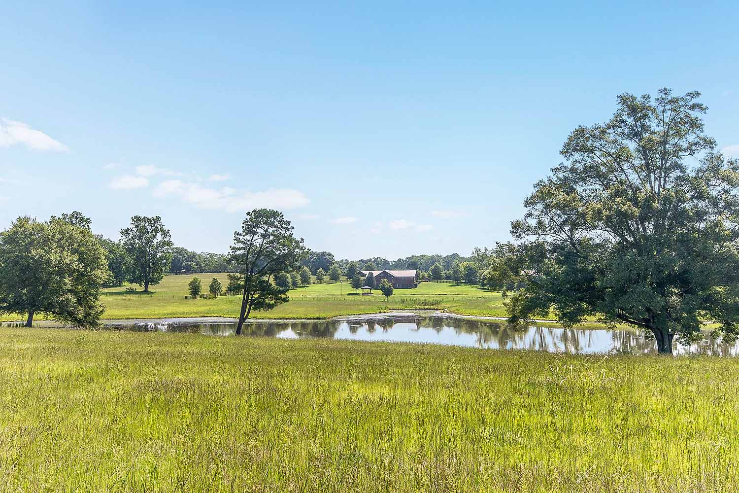 Montgomery AL horse farms for saleacreage4391 Weldon Road virtual tour