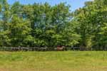 Egyptian Arabian horses, 19-acre ranch at Kenworthy-Carlisle Hall, Historic Estate Ranch, Marion, AL. Professional photos and tour by Go2REasssistant.com