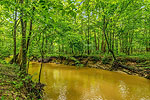Year-round running stream at 18177 Woodley Road, Hunting Land for sale, Ramer, AL. Professional photos and tour by Go2REasssistant.com