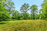 1 of 8 green fields at 18177 Woodley Road, Hunting Land for sale, Ramer, AL. Professional photos and tour by Go2REasssistant.com