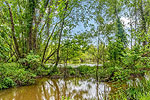 25-acre Duck lake at 18177 Woodley Road, Hunting Land for sale, Ramer, AL. Professional photos and tour by Go2REasssistant.com